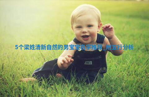 梁姓清新自然的男宝宝名字