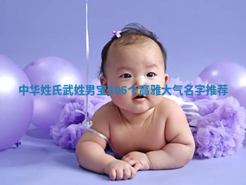 武姓高雅大气的男宝名字