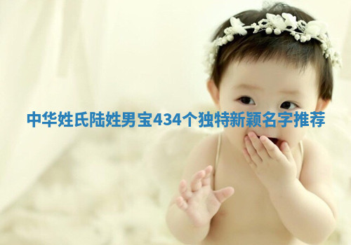 陆姓独特新颖的男宝名字