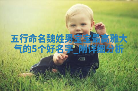 魏姓高雅大气的男宝宝名字