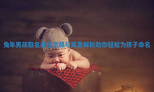 兔年男孩取名最佳选择与寓意解析助你轻松为孩子命名