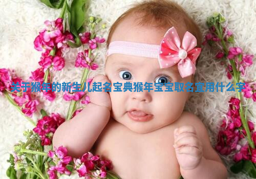 关于猴年的新生儿起名宝典 猴年宝宝取名宜用什么字