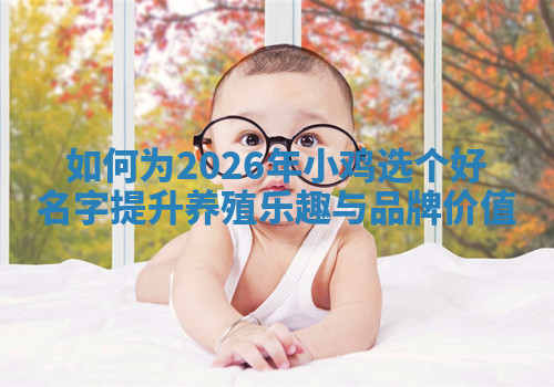 如何为2026年小鸡选个好名字提升养殖乐趣与品牌价值