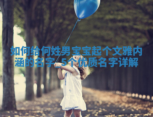 何姓文雅内涵的男宝宝名字