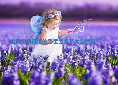 孟姓意境深远的男宝宝名字