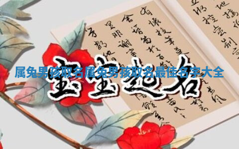 属兔男孩取名 属兔男孩取名最佳名字大全