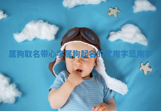 属狗取名带心字_属狗起名的宜用字忌用字