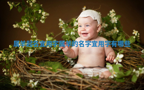 属羊起名宜用字_属羊的名字宜用字有哪些