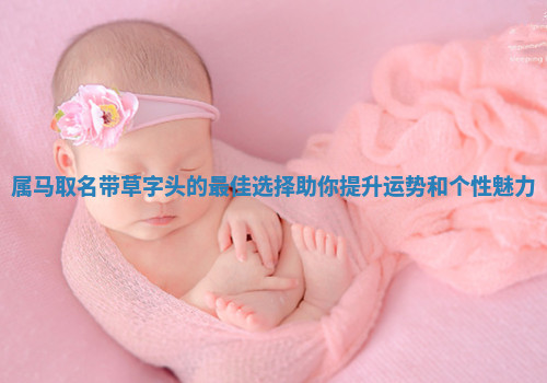 属马取名带草字头的最佳选择助你提升运势和个性魅力