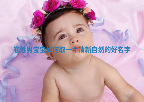 崔姓清新自然的男宝宝名字