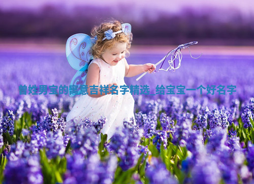 曾姓寓意吉祥的男宝名字