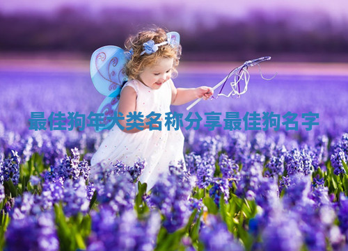 最佳狗年犬类名称分享_最佳狗名字