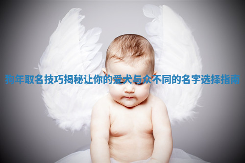 狗年取名技巧揭秘让你的爱犬与众不同的名字选择指南