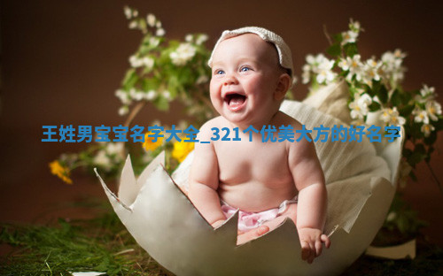 王姓优美大方的男宝宝名字