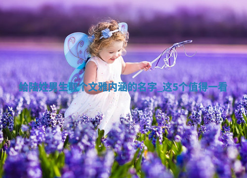 陆姓文雅内涵的男生名字