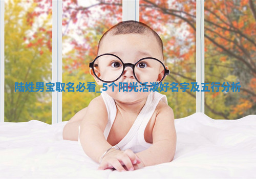 陆姓阳光活泼的男宝名字